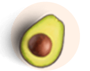 Vitamin E icon