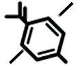 Paraben Free icon